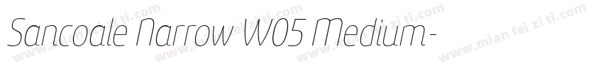 Sancoale Narrow W05 Medium字体转换